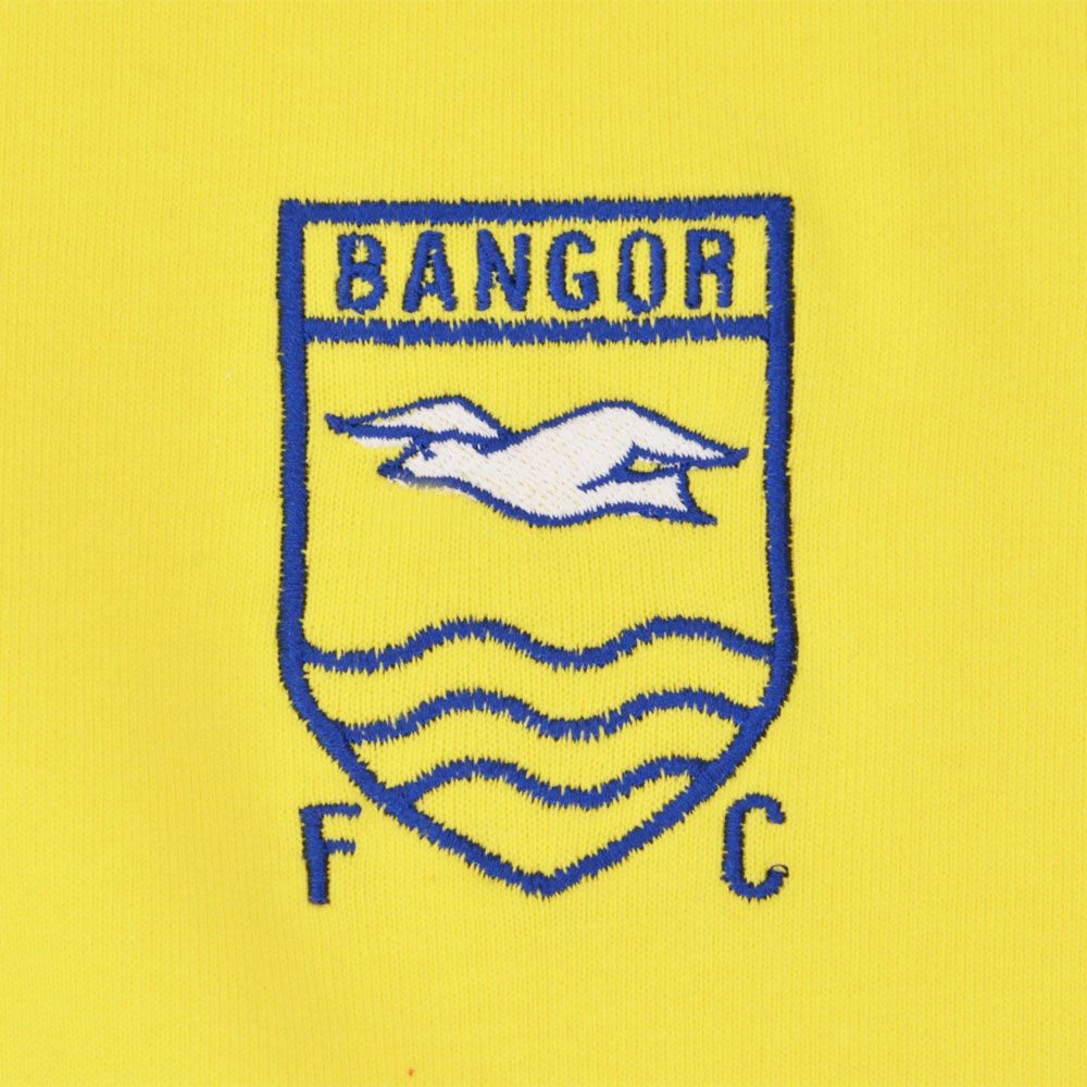 Bangor FC Yellow & Blue 1970s Kids Retro Football Shirt – Vintage Embroidered Badge Classic Tee 4 Bangor FC Yellow & Blue 1970s Kids Retro Football Shirt – Vintage Embroidered Badge Classic Tee - Image 2