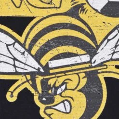 Chicago Sting Retro NASL Logo Black T-Shirt – Organic Cotton Relaxed Fit Tee -Toffs Store print0131 1