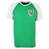 Mexico National Team Green & White Raglan – 1960's Vintage Crest Short Sleeve T-Shirt -Toffs Store t0169